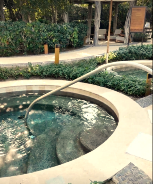 Image_1-29-26_at_11_14_AM_INVITING